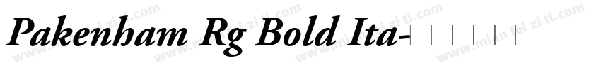 Pakenham Rg Bold Ita字体转换